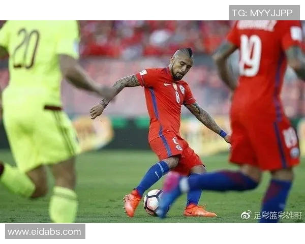 洲际杯回顾:成都篮球队状态分析与表现评估